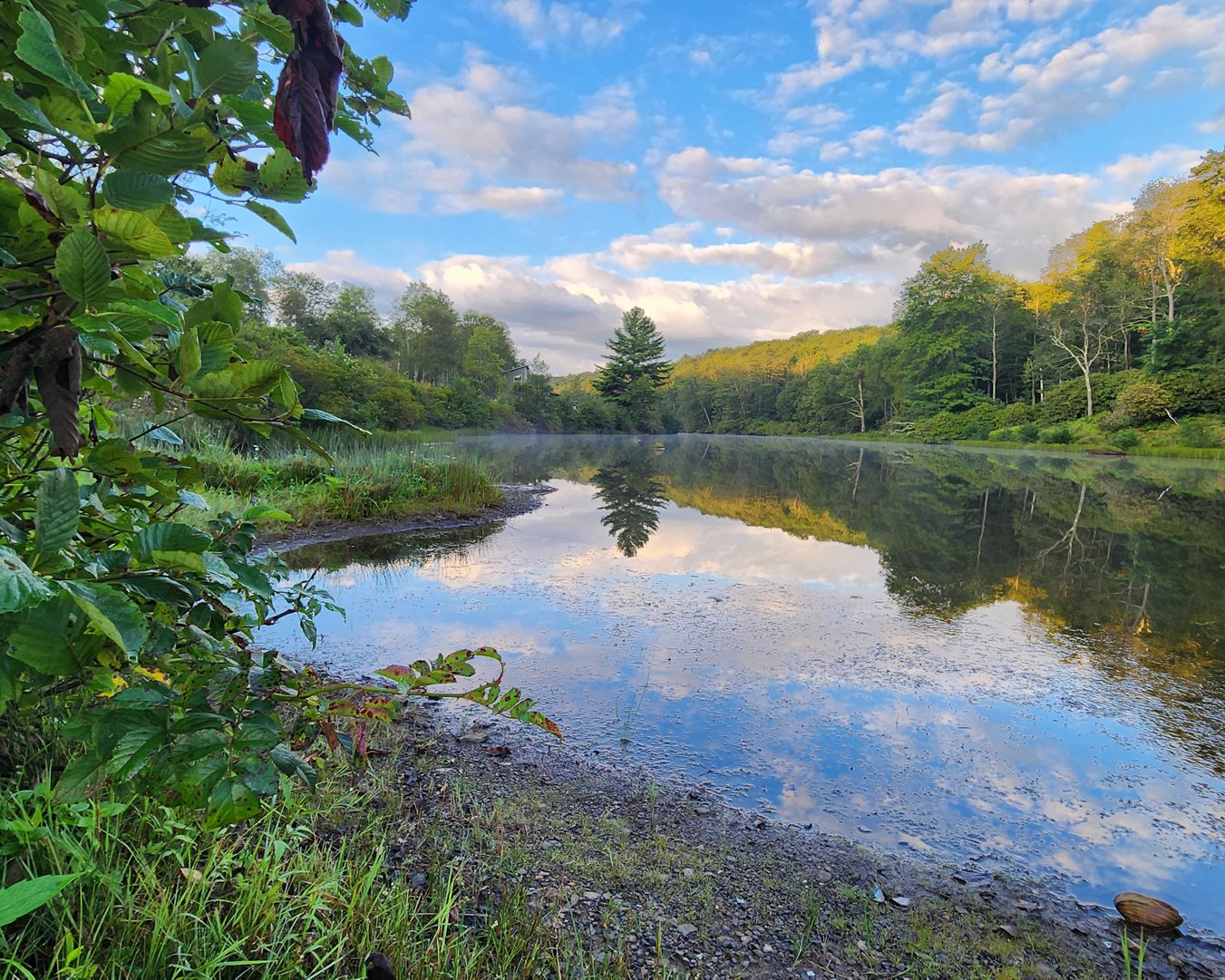 North Fork of the Blackwater River