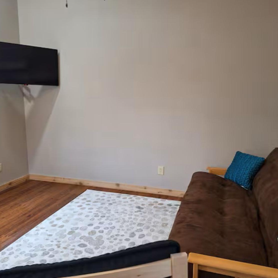 living area with tv